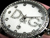 D&G �ɥ����&���åС��� �ӻ��� �����ꥢ DW0009 dw0009�ν̾�����