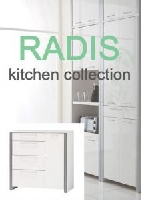 ��RADIS�ۡ����å��󥭥�ӥͥåȤν̾�����