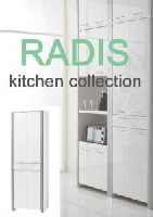 ��RADIS�ۡ����դ�����ê�ν̾�����