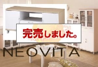 NEOVITA�������ܡ���120W�ν̾�����