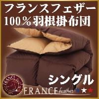 �ե�󥹻��ե�����100%����������(���󥰥�)�ν̾�����