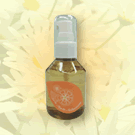 SAKURA �Х�󥹥��å��󥹡�100�����ν̾�����