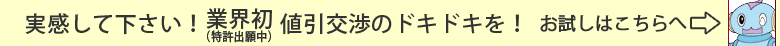 �Ͱ�����ĥ���åԥ󥰥ǥ�