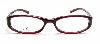 ��Calvin Klein��CC5734-83 CC5734-83�ν̾�����